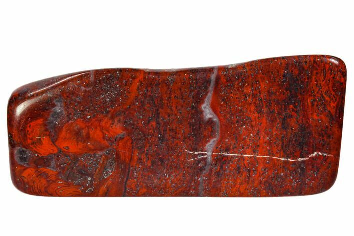 Polished Stromatolite (Collenia) - Minnesota #104421